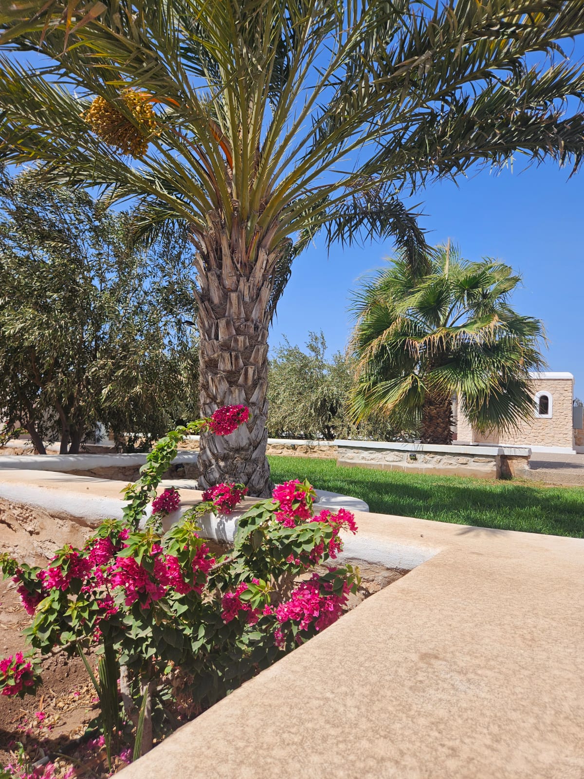 Olivier et Melody : Vos experts en immobilier de luxe à Essaouira - concergeries et service - photo 6